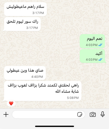 Robe blanche princesse