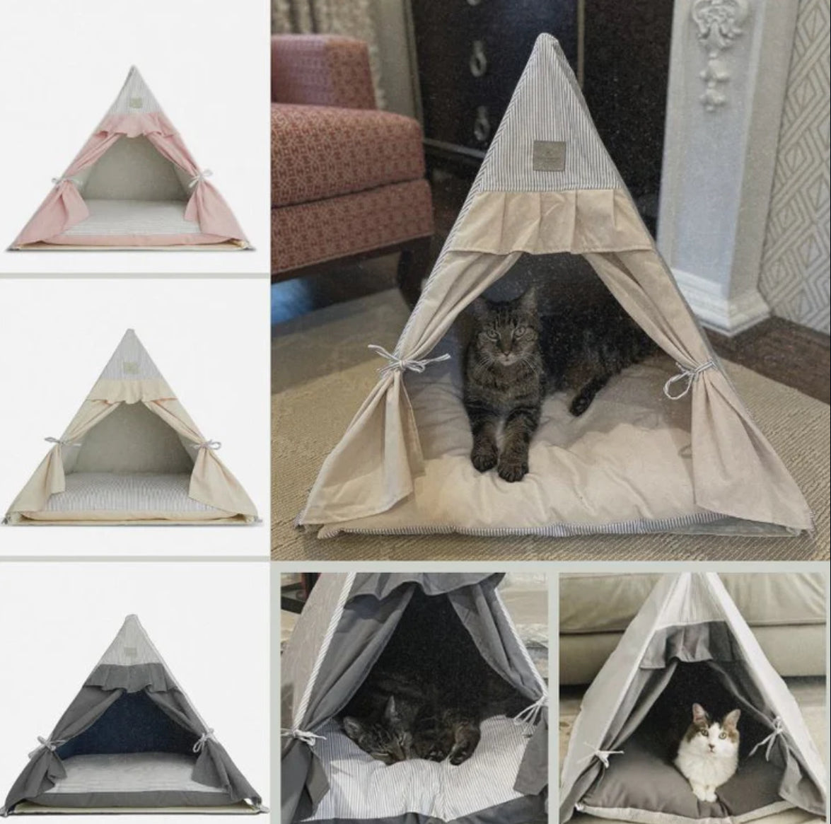 دار صغيرة.. سعادة كبيرة لقطّك